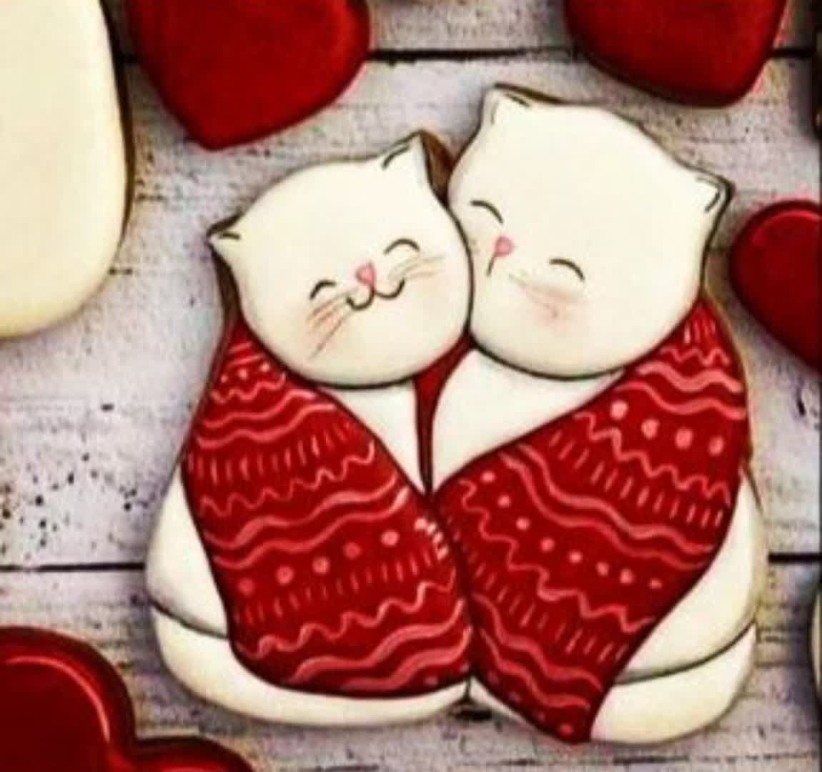 مهر و کاتر کوکی طرح دو گربه