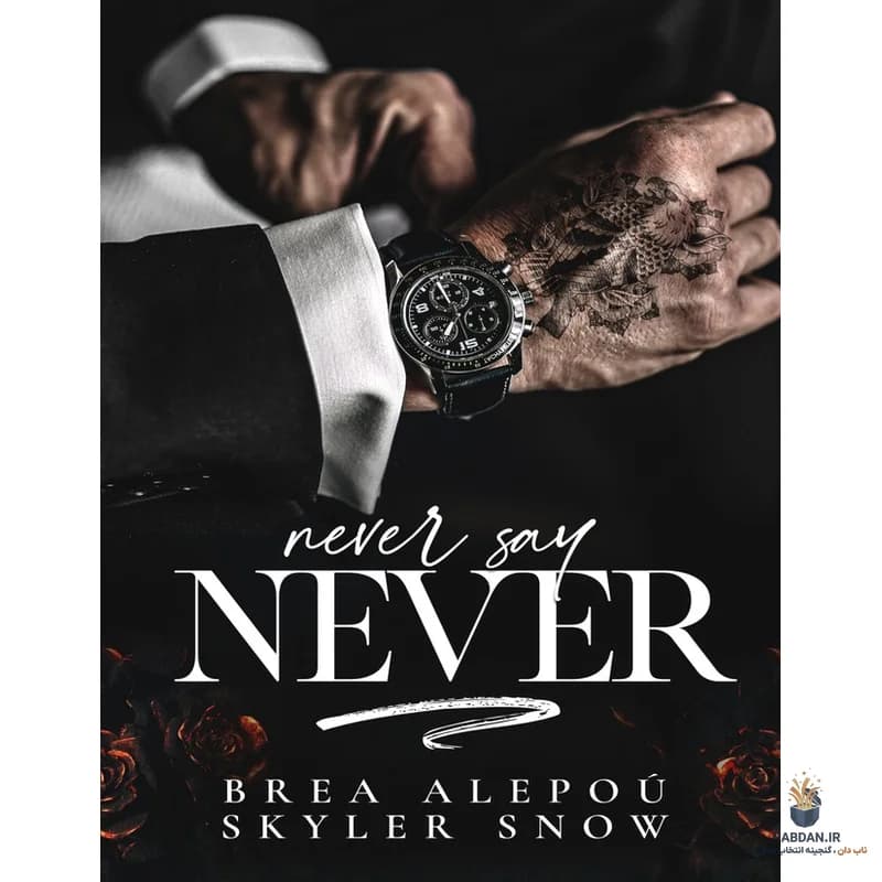 کتاب Never Say Never (هرگز نگو هرگز) نسخه انگلیسی PDF | بریا الپو و اسکایلر اسنو