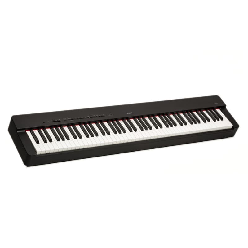 پیانو دیجیتال Digital Piano Yamaha P225 — تصویر ۲