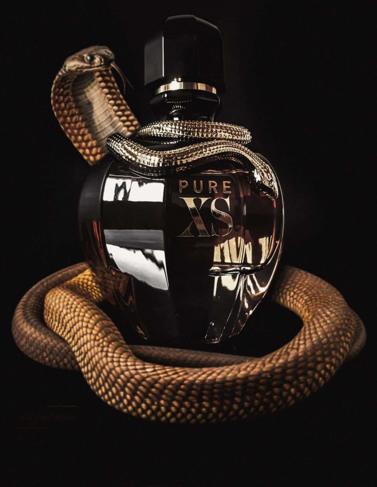 عطر ادکلن پاکو رابان پیور ایکس اس زنانه اصل — تصویر ۳
