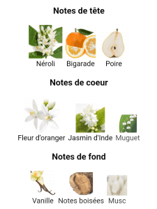 عطر ادکلن مون بلان لجند زنانه اصل — تصویر ۴