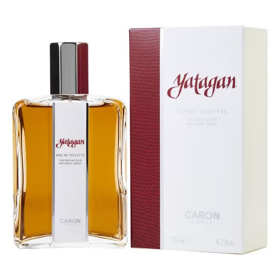 Caron Yatagan کارون یاتاقان — تصویر ۳