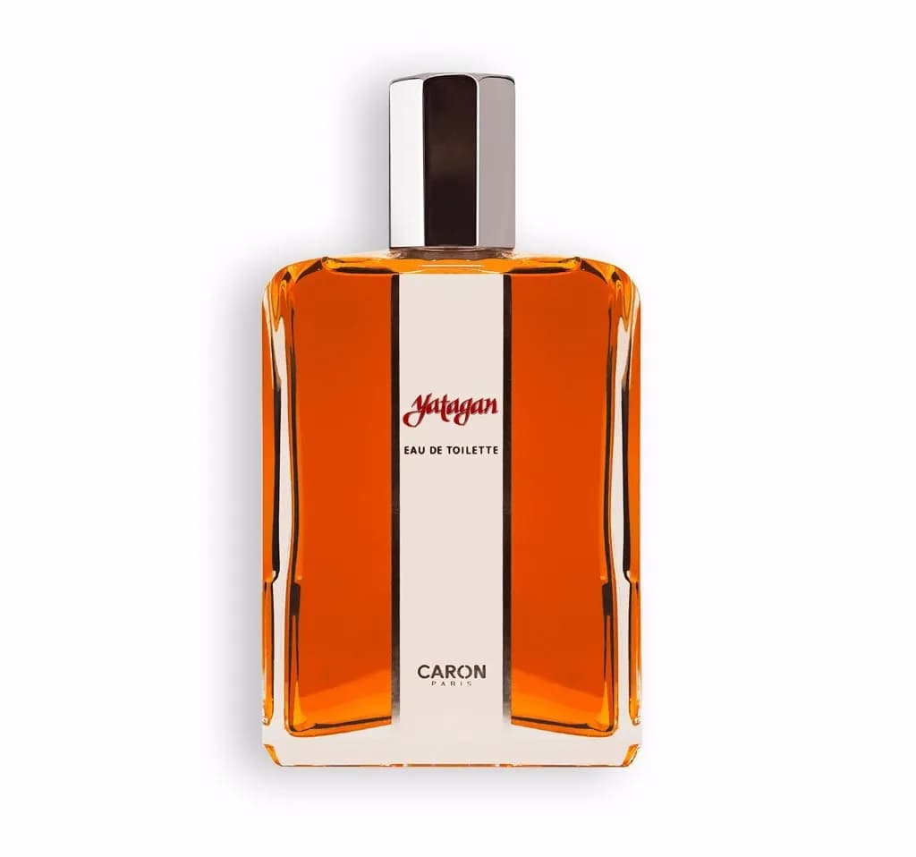 Caron Yatagan کارون یاتاقان