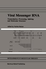 Viral Messenger RNA: Transcription, Processing, Splicing and Molecular Structure