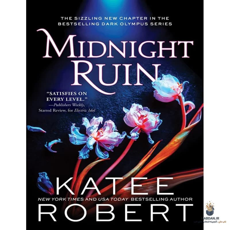 کتاب Midnight Ruin (میدنایت روین) نسخه انگلیسی PDF | کیتی رابرت