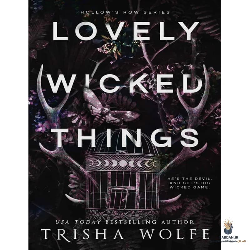 کتاب Lovely Wicked Things (چیزهای شرور دوست‌داشتنی) نسخه انگلیسی PDF | تریشا وولف