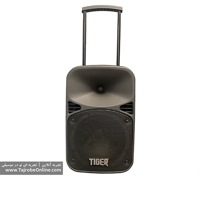 باند اکتیو شارژی تایگر مدل TIGER EV8