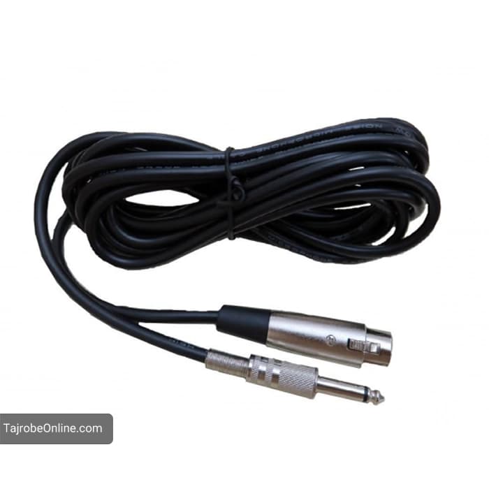 میکروفن اقتصادی پی وی مدل AJM900 — تصویر ۳
