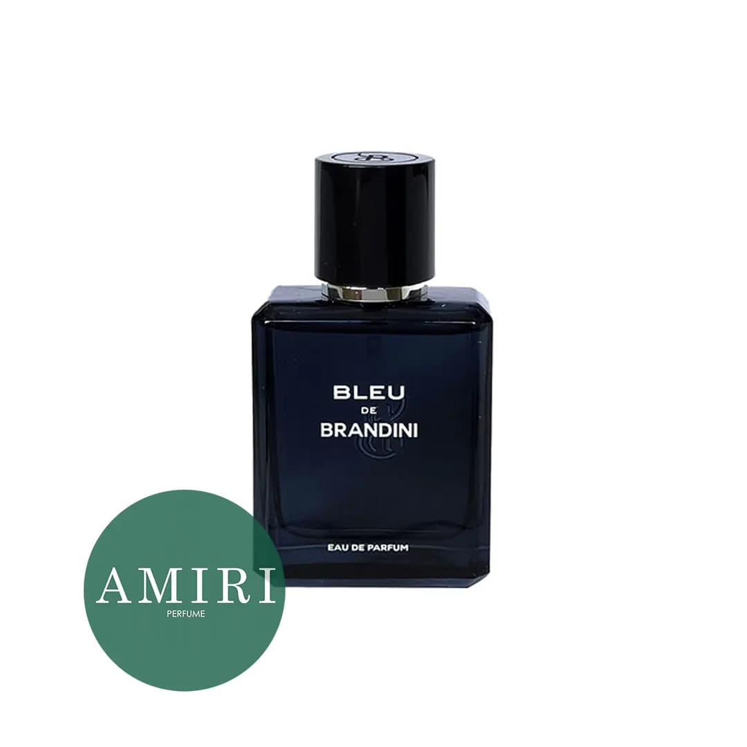 عطر ادکلن برندینی بلو د برندینی ( بلو شنل) | Brandini Blue de Brandini