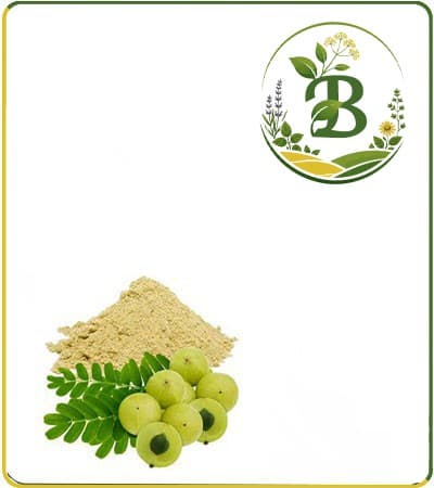 عصاره آمله خشک یا پودری