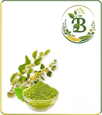 عصاره سدر خشک (پودری)