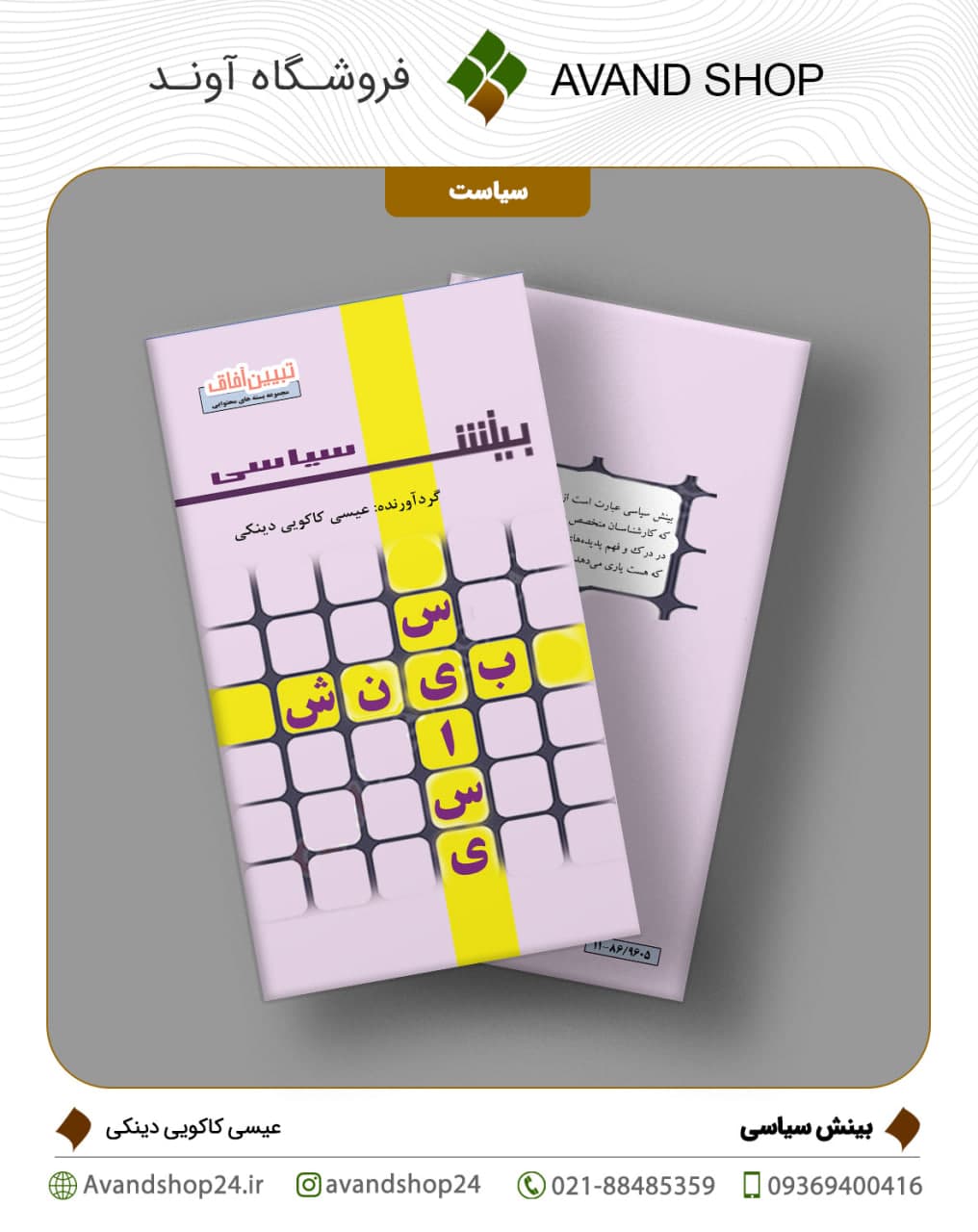 بینش سیاسی