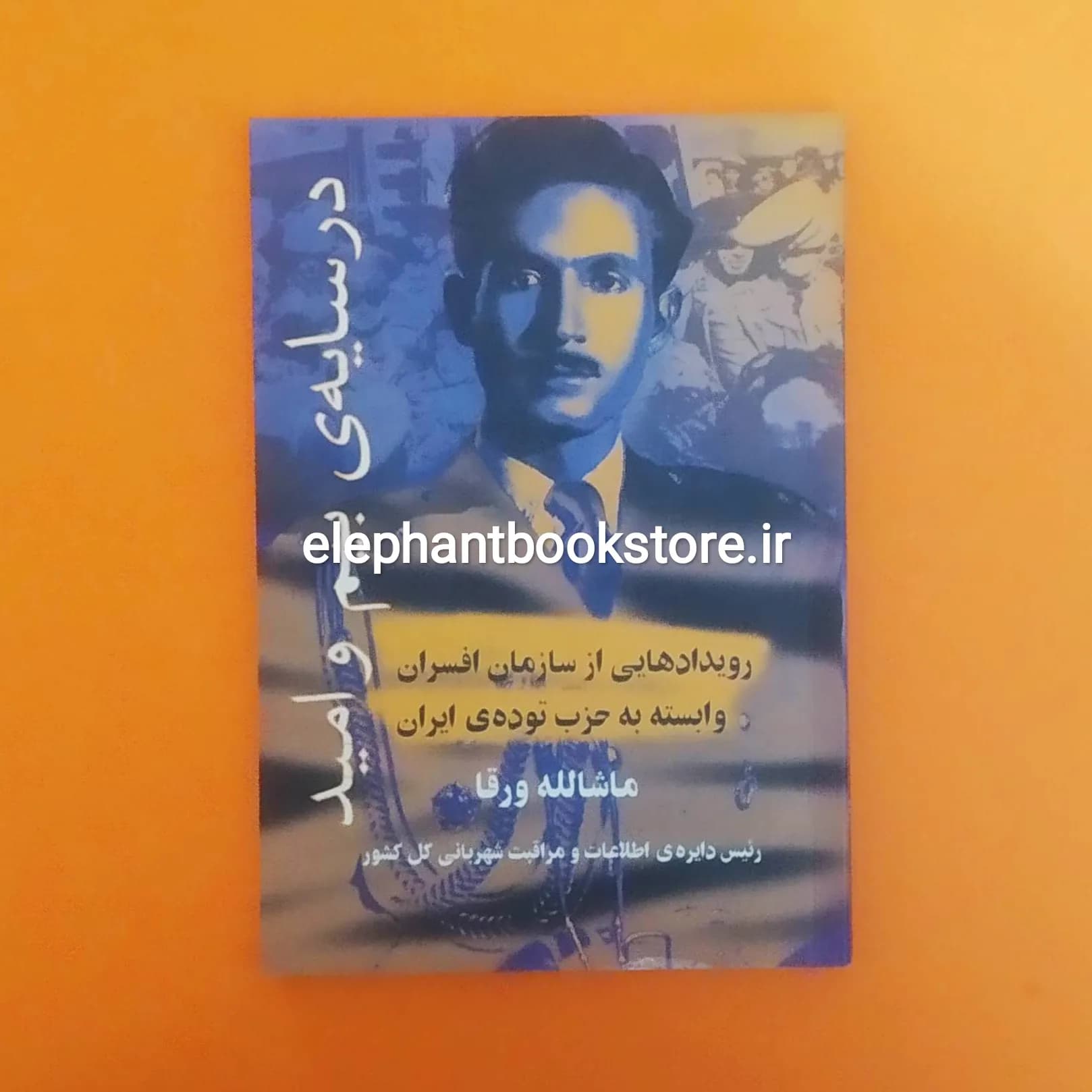 کتاب در سایه بیم و امید (رویدادهایی از سازمان افسران وابسته به حزب توده‌ی ایران)