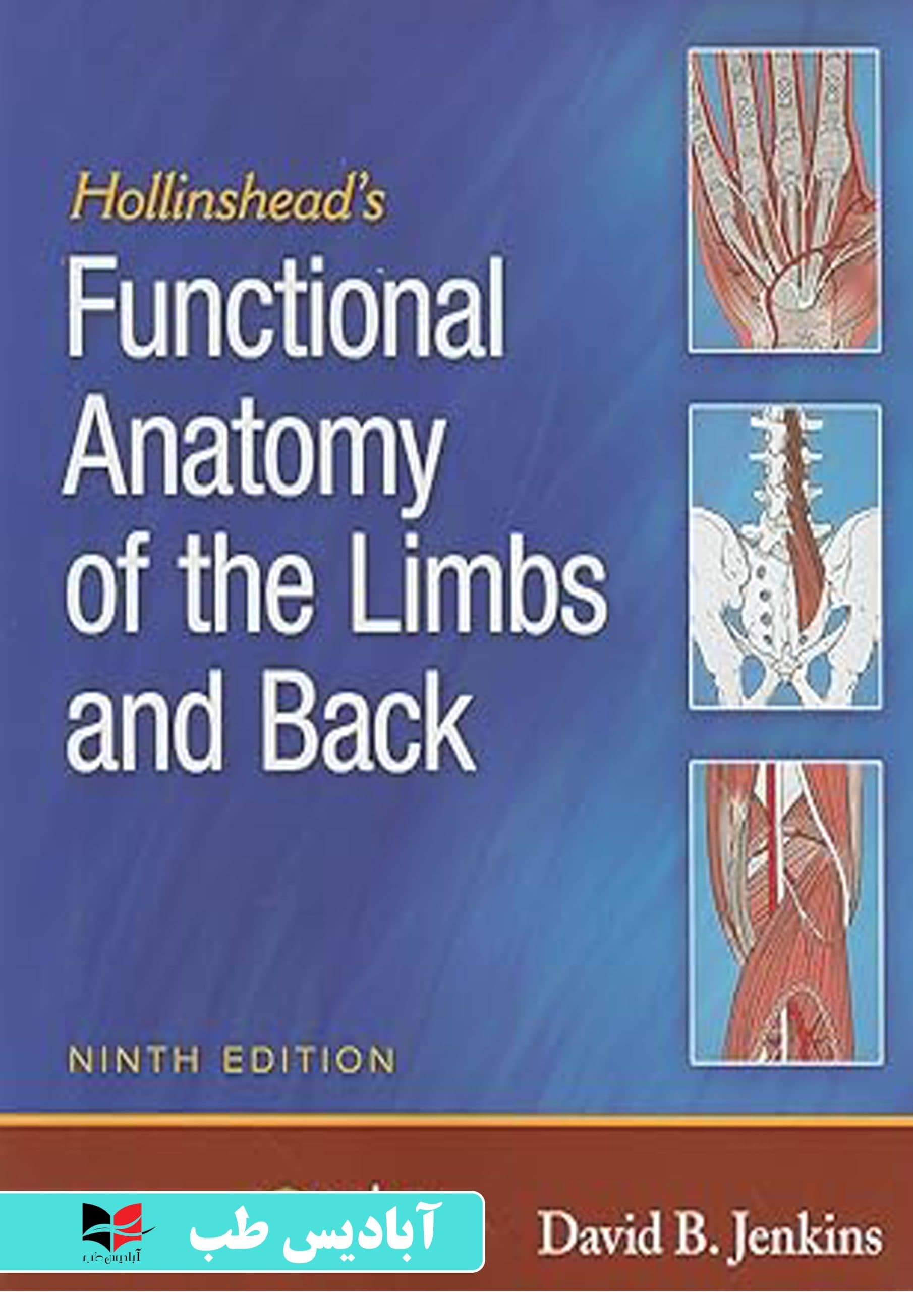 Hollinshead’s Functional Anatomy of the Limbs and Back 9th Edition | آناتومی عملکردی اندام ها و پشت نسخه نهم هلینزهد — تصویر ۲