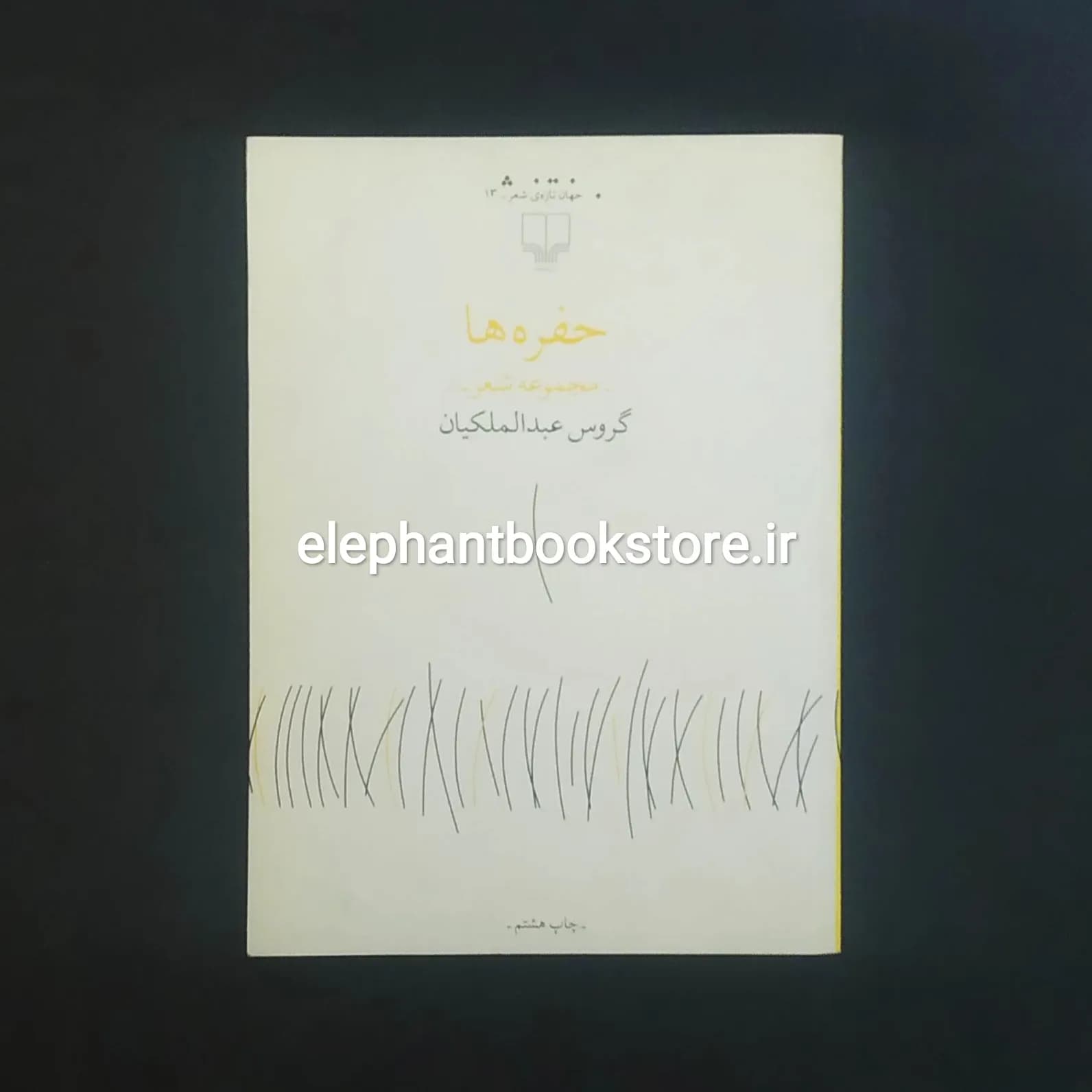 کتاب حفره ها اثر گروس عبدالملکیان