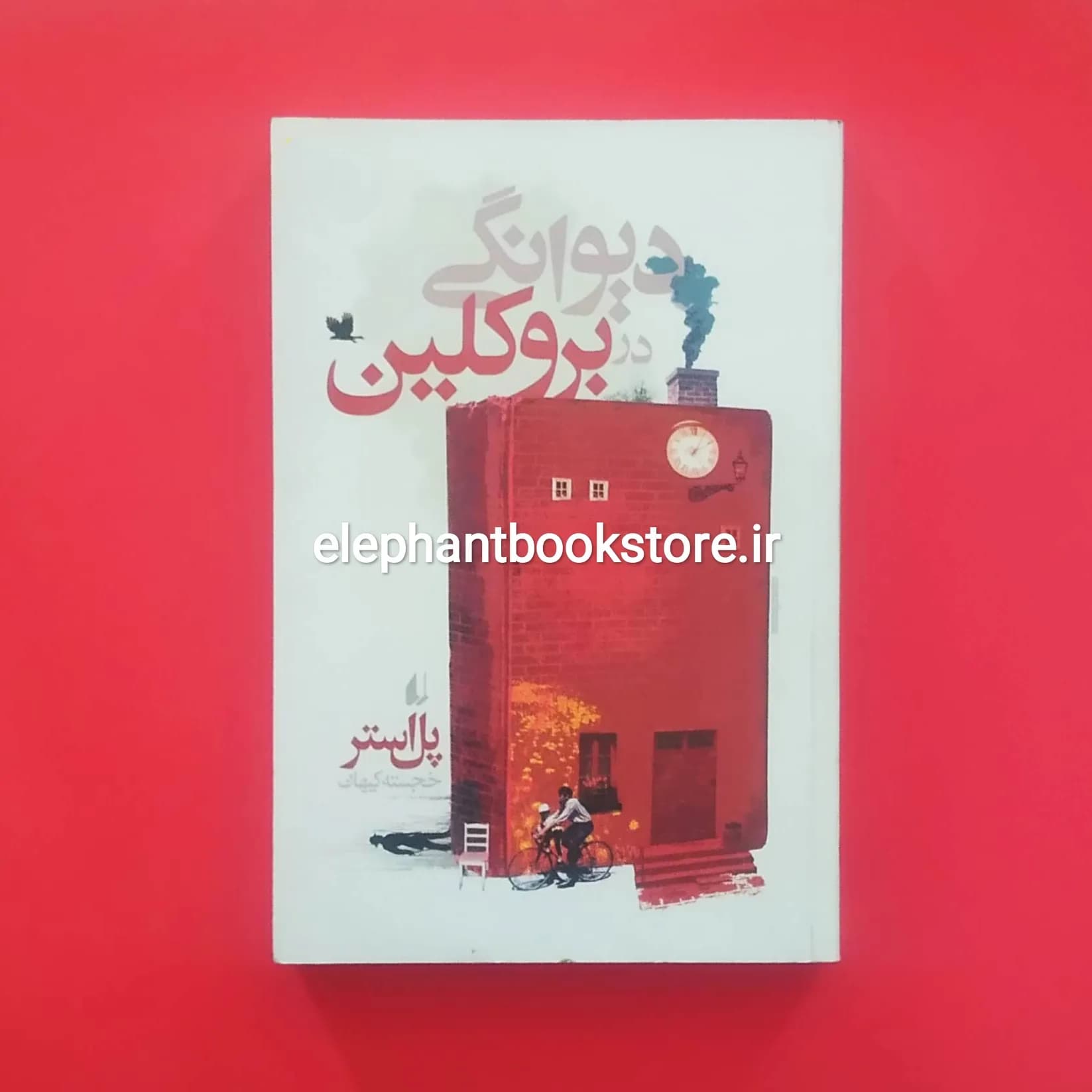 کتاب دیوانگی در بروکلین اثر پل استر