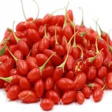 نهال گوجه بری قرمز