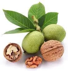 نهال گردو ضیاباد