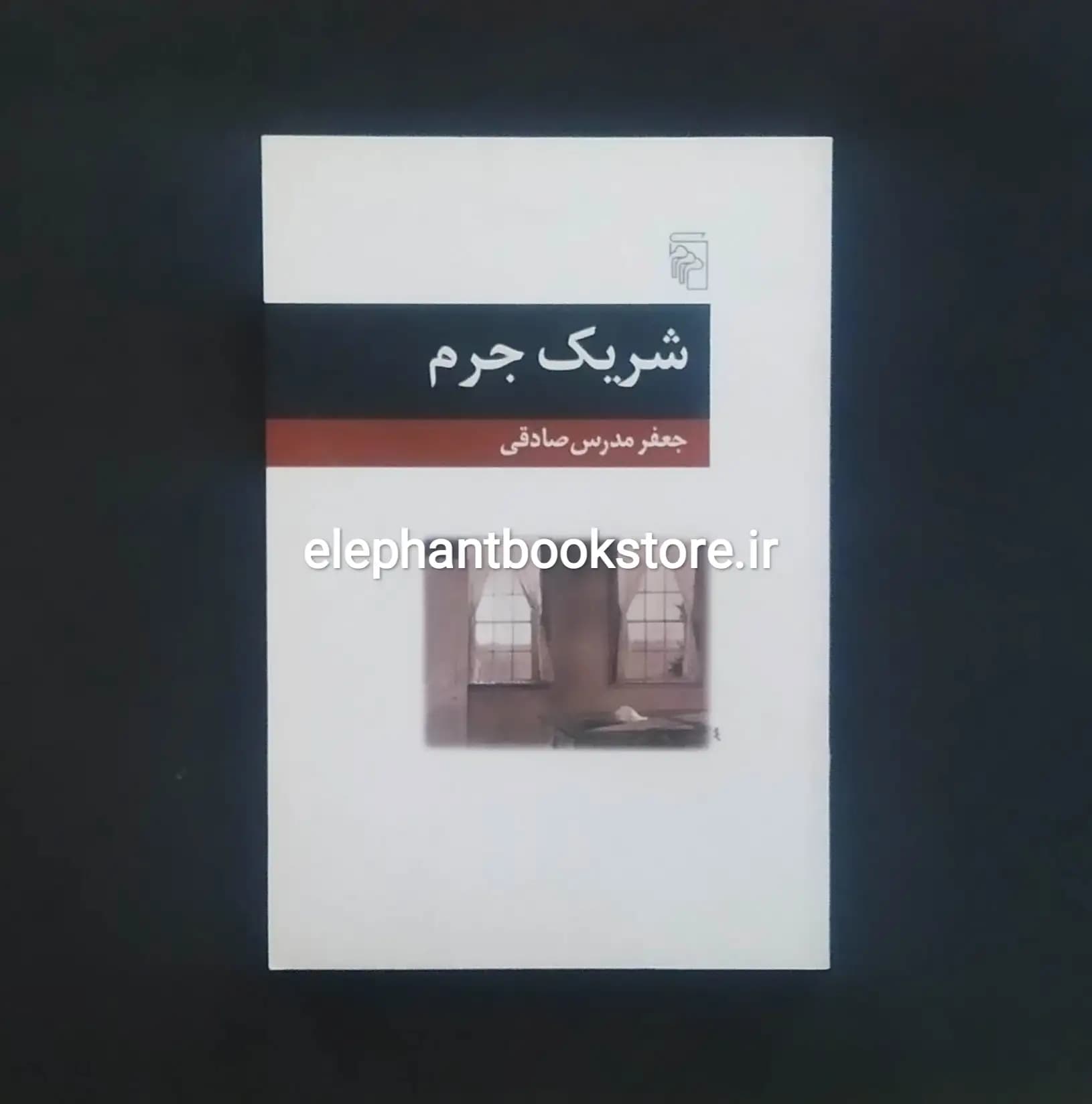 کتاب شریک جرم اثر جعفر مدرس صادقی