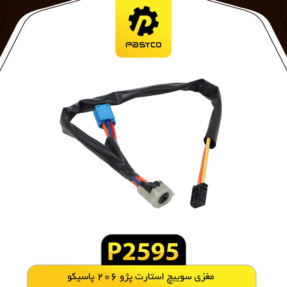 مغزی سوییچ پژو 206 پاسیکو P2595