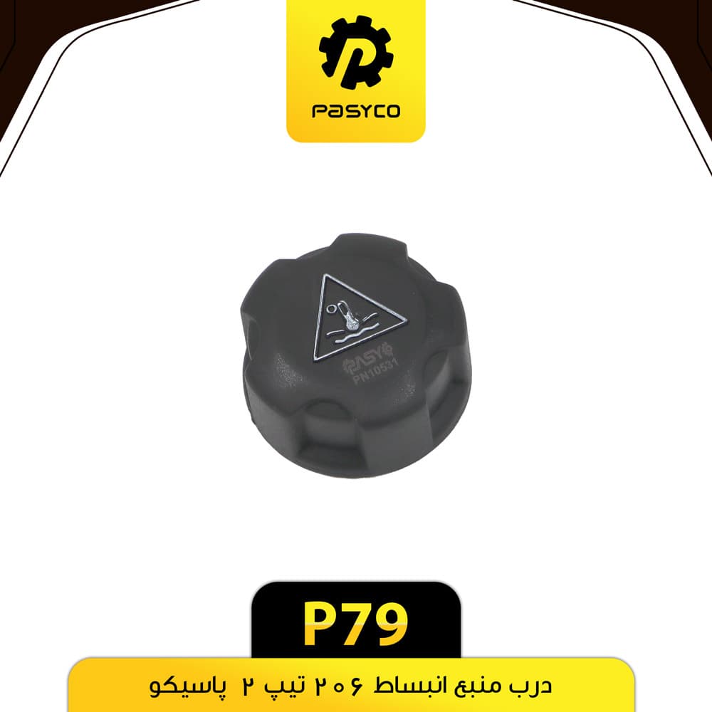 درب منبع انبساط پژو 206 تیپ 2 پاسیکو P79