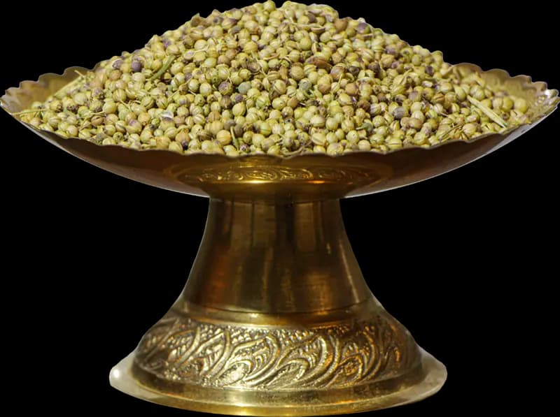 تخم گیشنیز خالص دوقلو