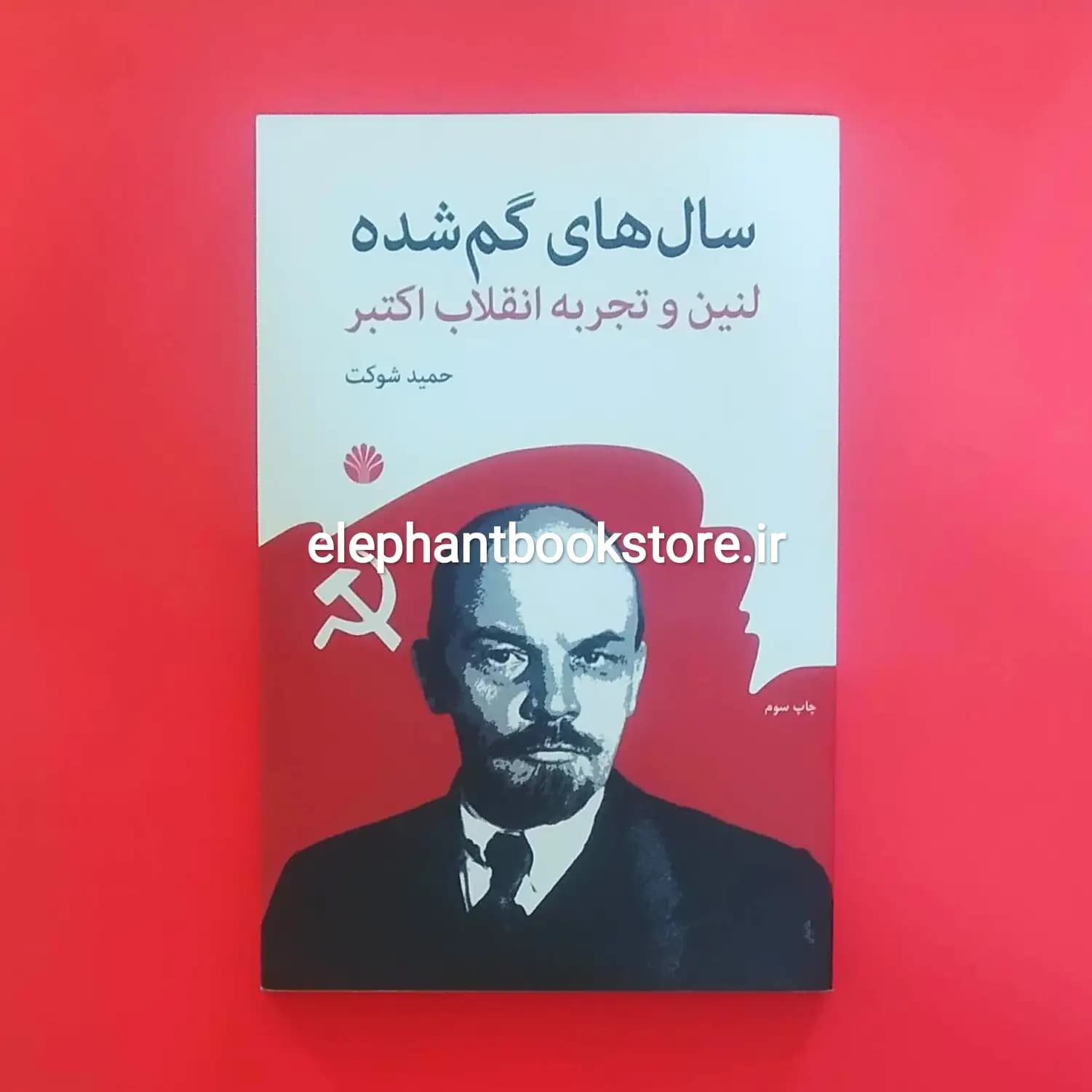 کتاب سال های گم شده اثر حمید شوکت — تصویر ۲