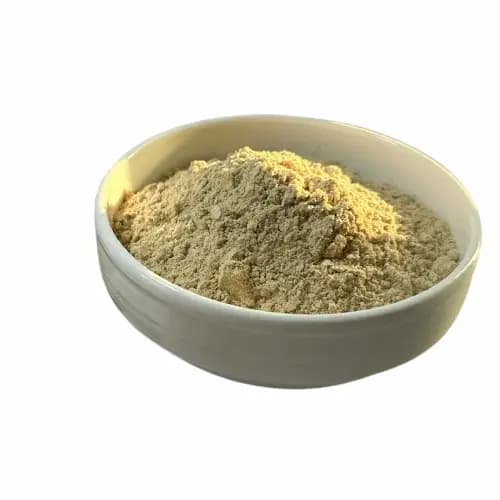 پودر زنجبیل خالص — تصویر ۲