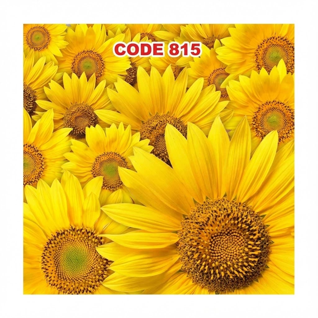 آسمان مجازی کد 815