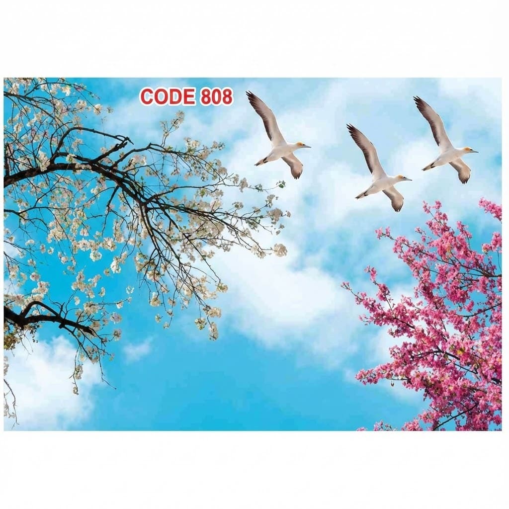 آسمان مجازی کد 808