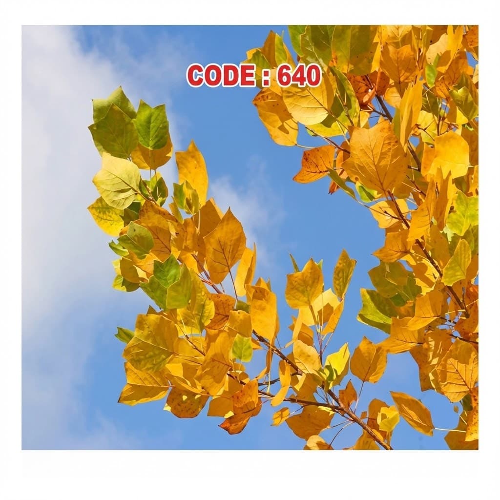 آسمان مجازی کد 640