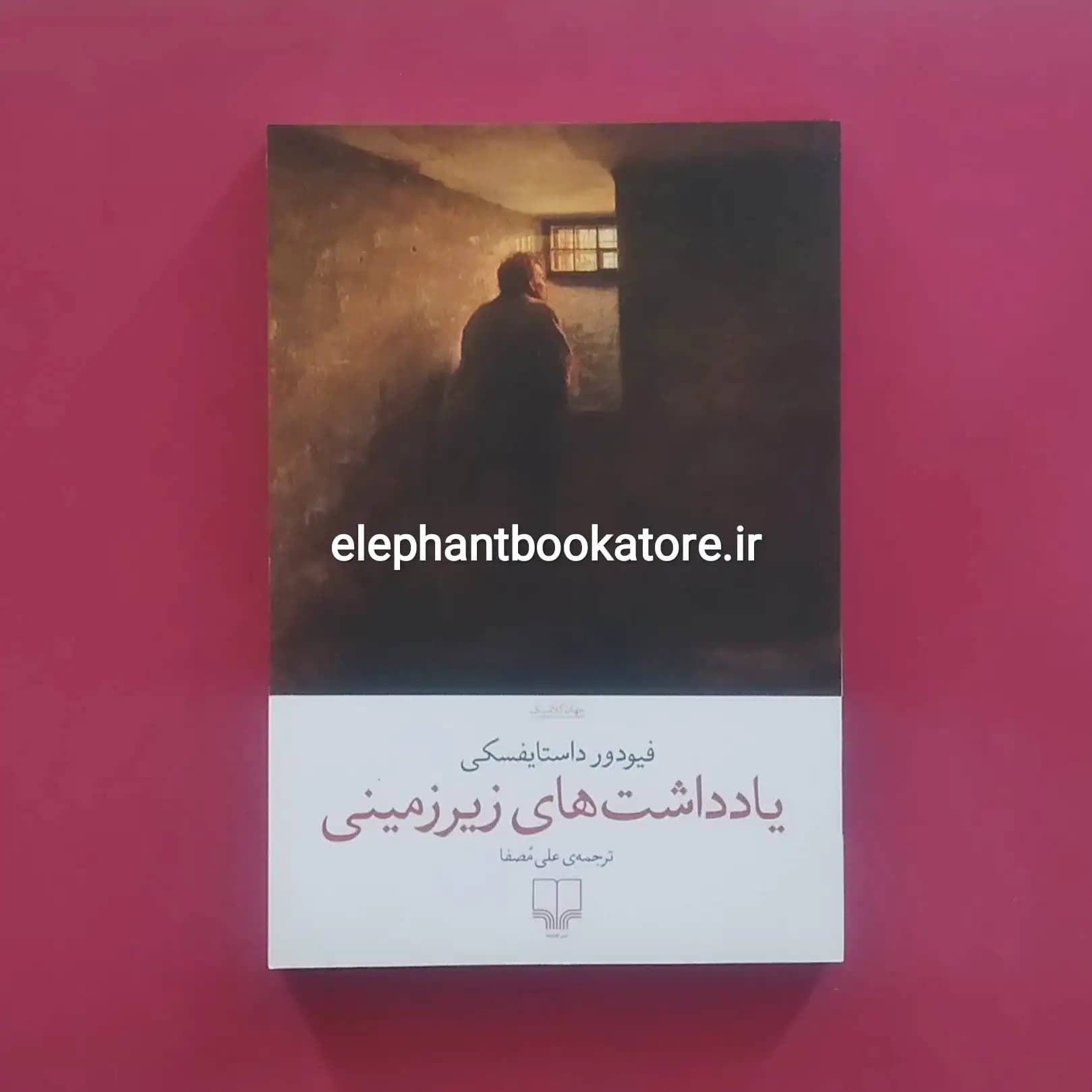 کتاب یادداشت های زیرزمینی ترجمه علی مصفا