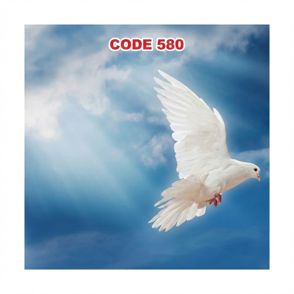 آسمان مجازی کد 580