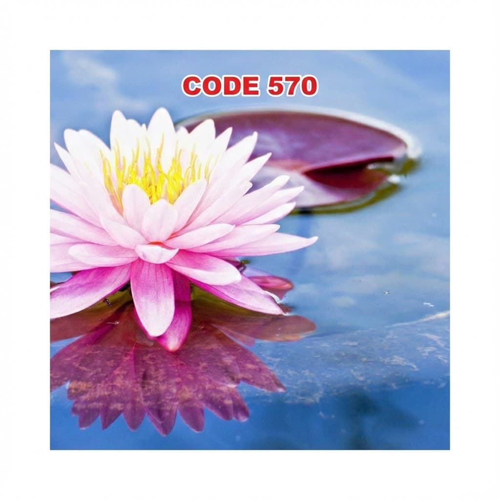 آسمان مجازی کد 570