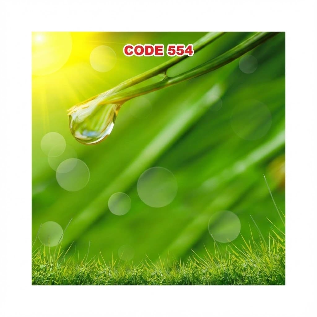آسمان مجازی کد 554