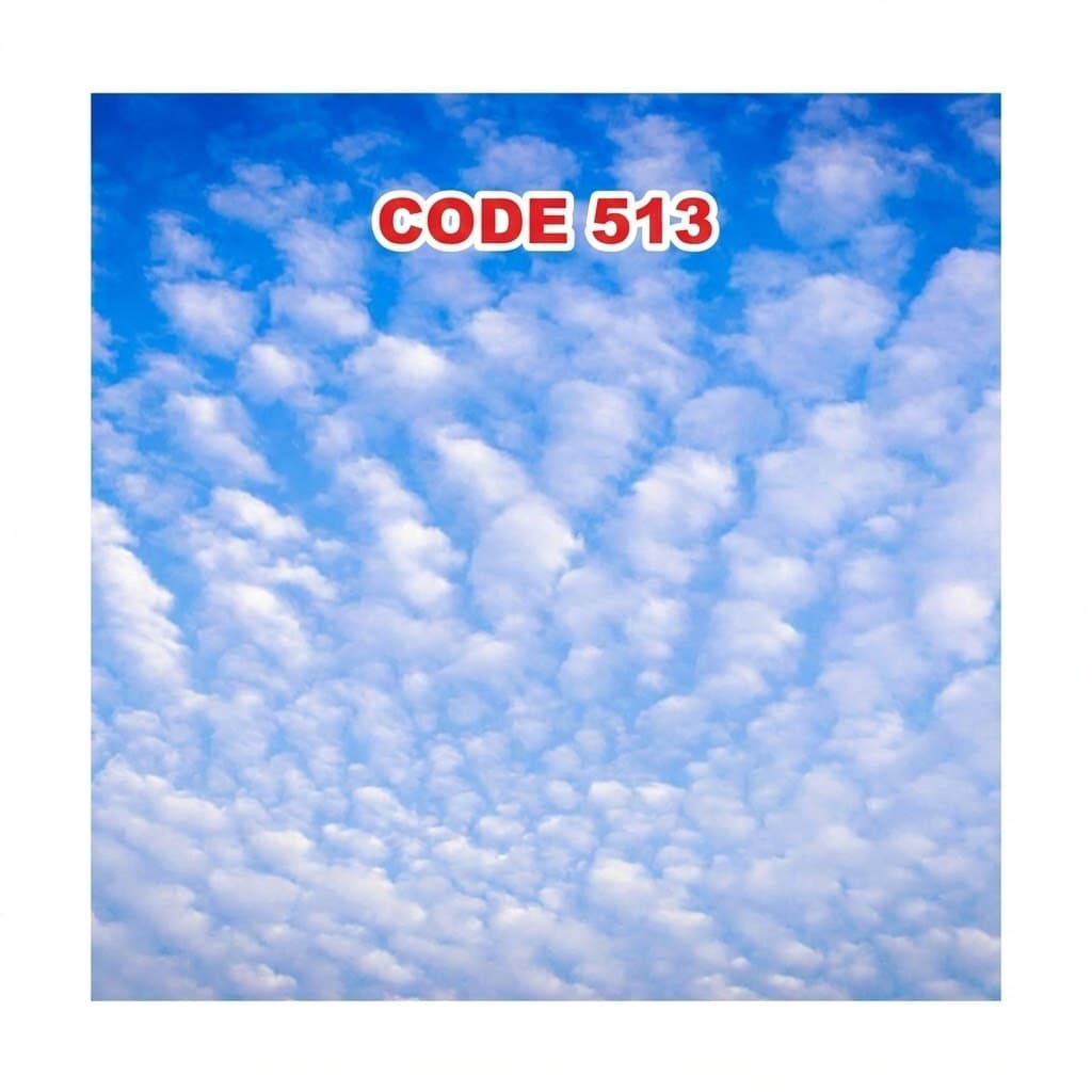 آسمان مجازی کد 513