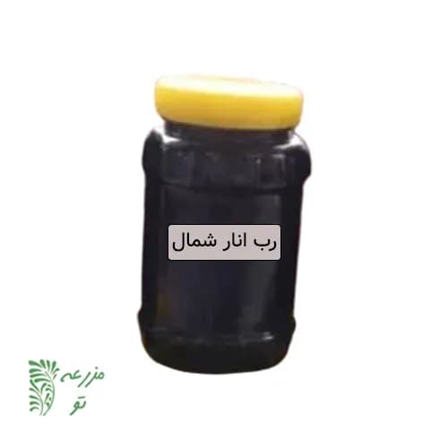 رب انار خانگی شمال نیم کیلویی