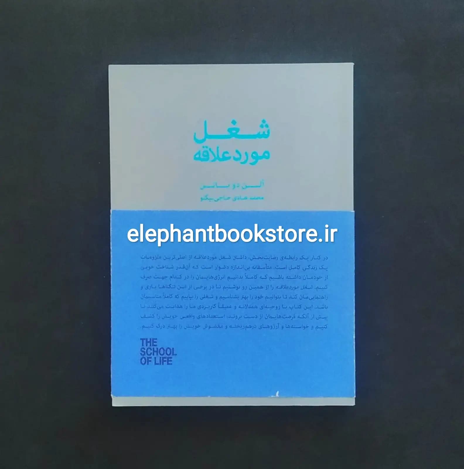 کتاب شغل مورد علاقه اثر آلن دوباتن