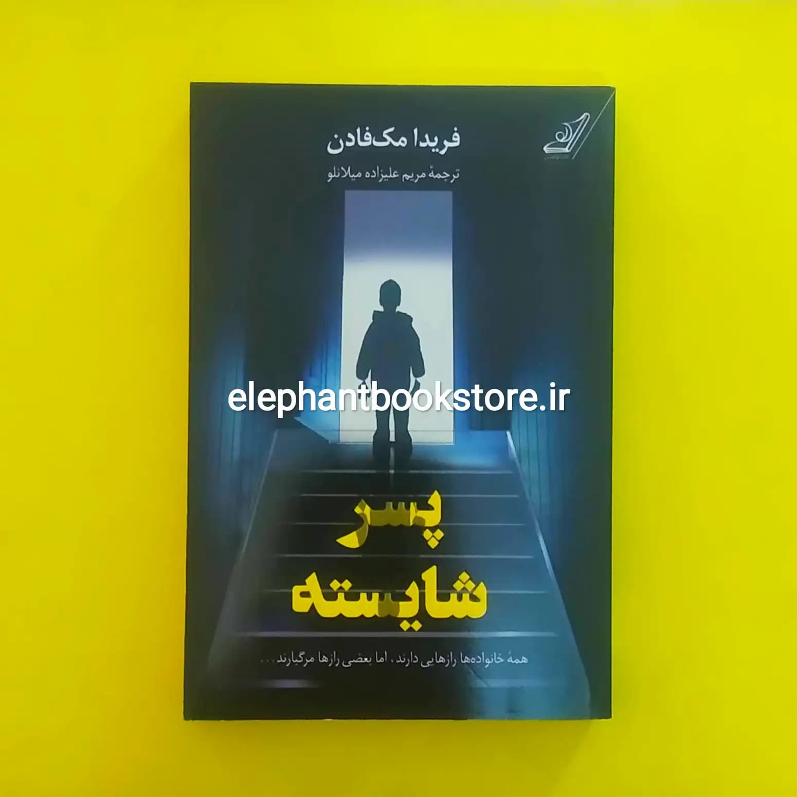 کتاب پسر شایسته اثر فریدا مک فادن