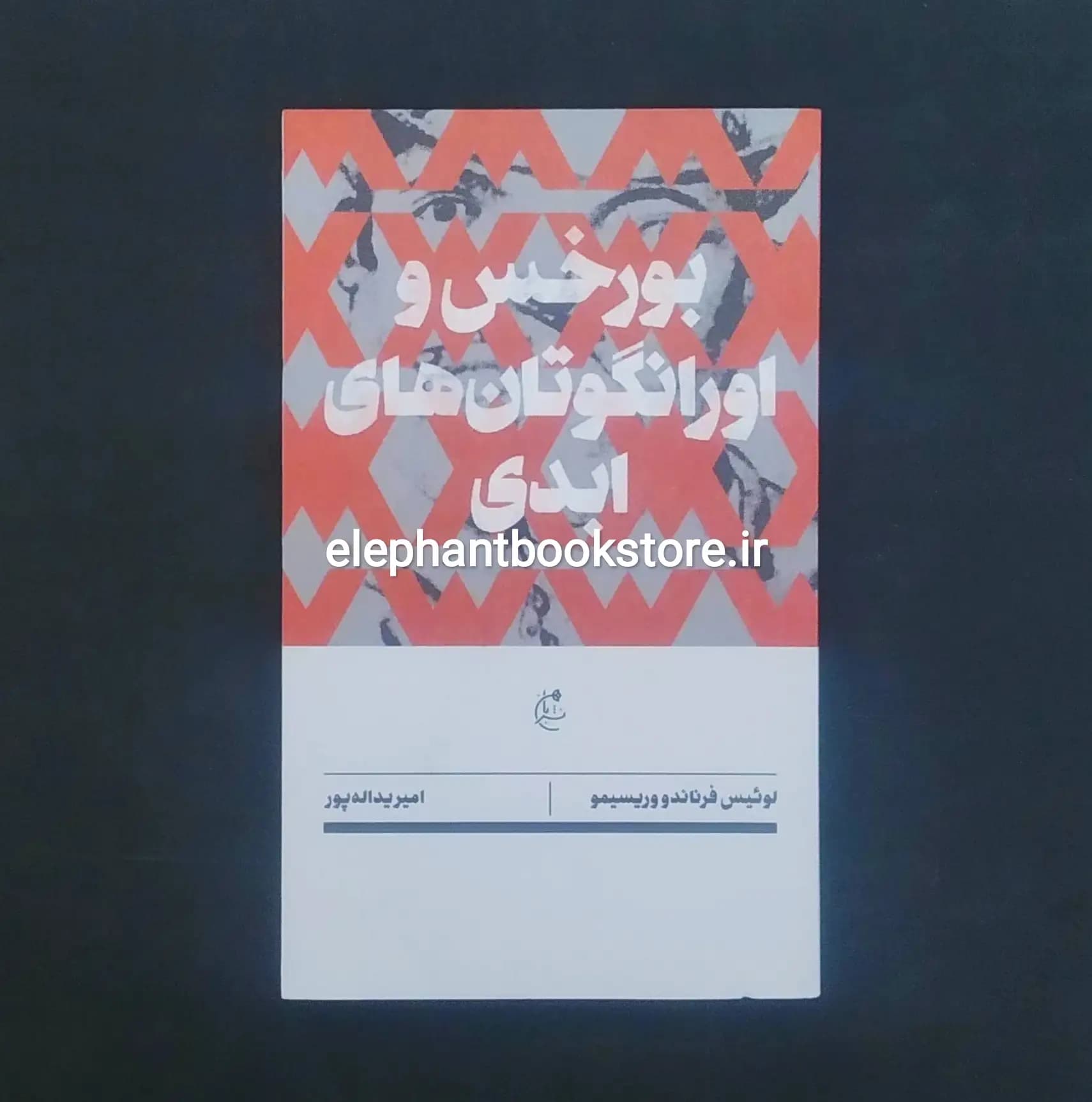 کتاب بورخس و اورانگوتان های ابدی اثر لوئیس فرناندو وریسیمو — تصویر ۲