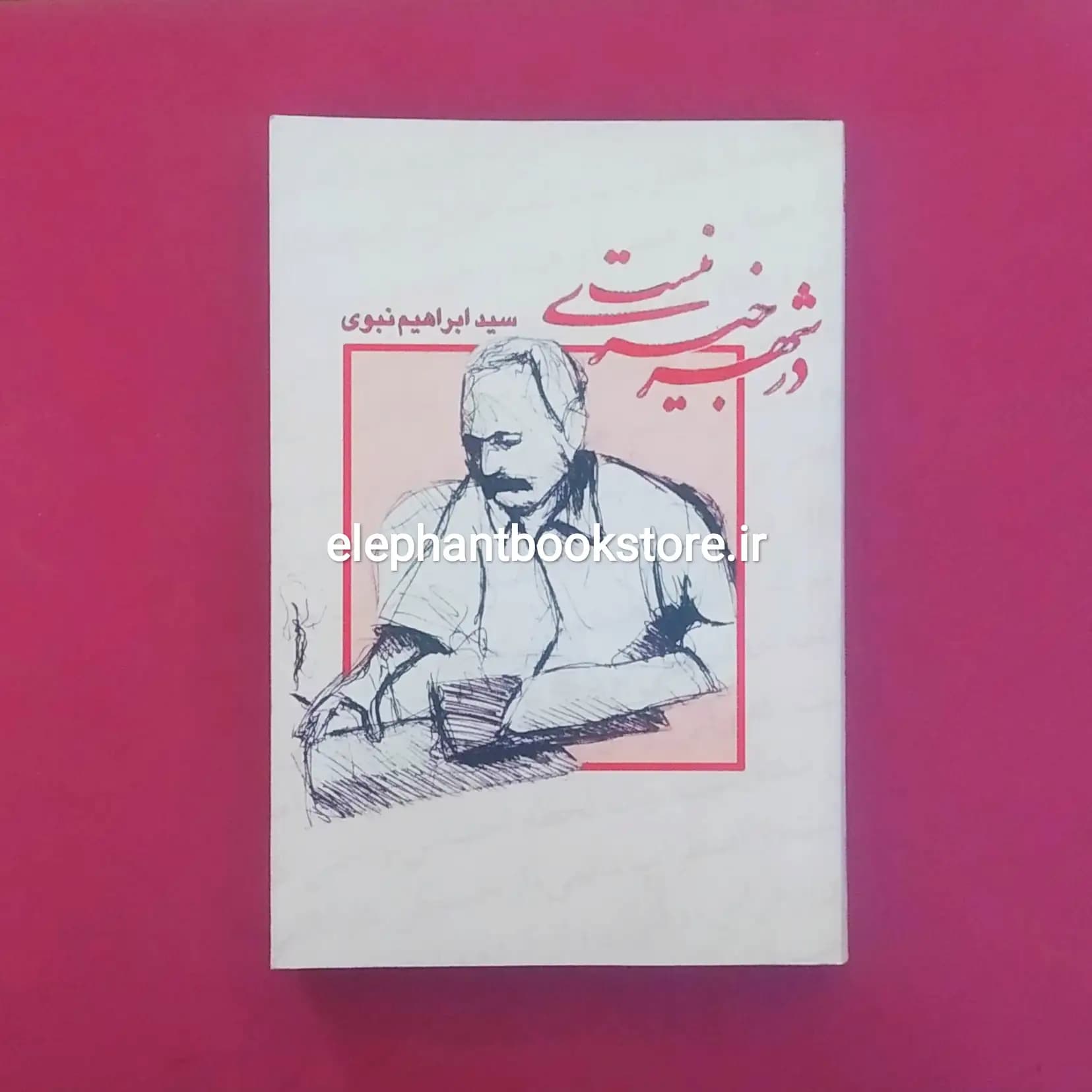 کتاب در شهر خبری نیست اثر سیدابراهیم نبوی — تصویر ۲