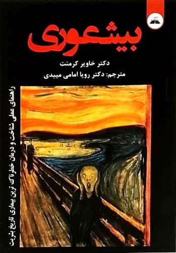 بیشعوری (ایرمان) رقعی شومیز