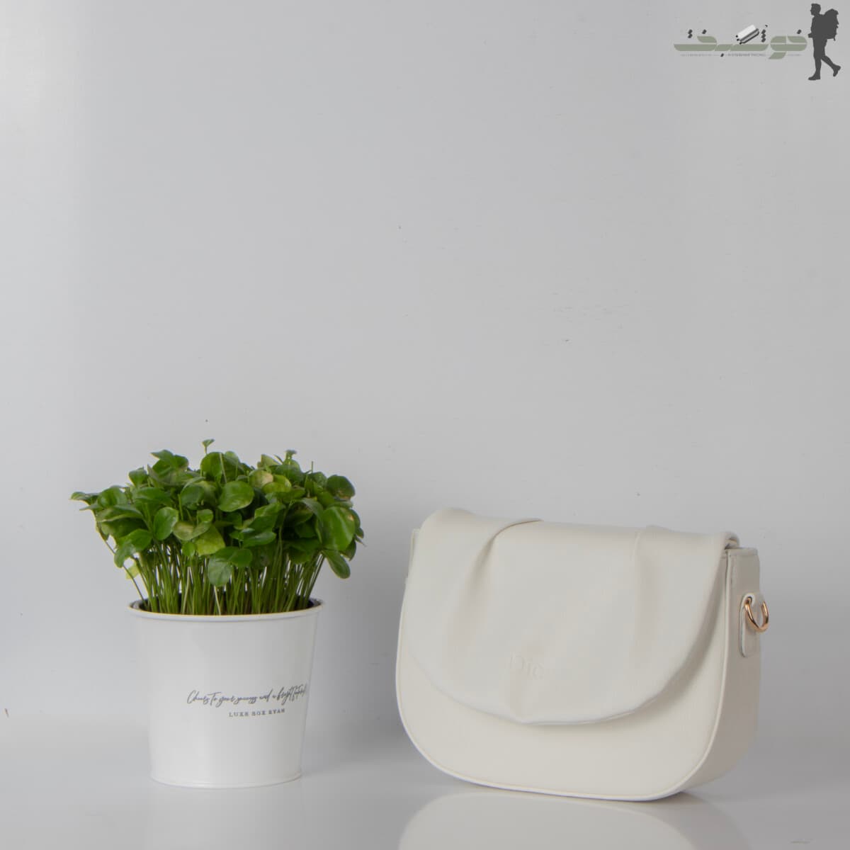 کیف زنانه Dior بالاچین 02 — تصویر ۴
