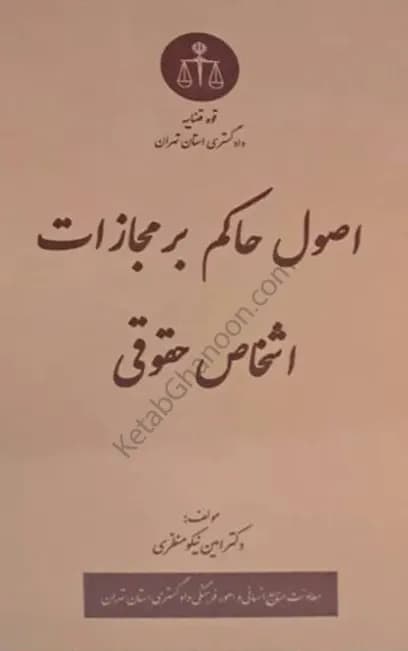 اصول حاکم بر مجازات اشخاص حقوقی امین نیکو منظری — تصویر ۲
