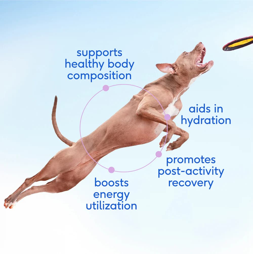 مکمل سگ شیر بز Native Pet | تقویت کننده و رشد توله سگ، ریکاوری و بازسازی بدن — تصویر ۳