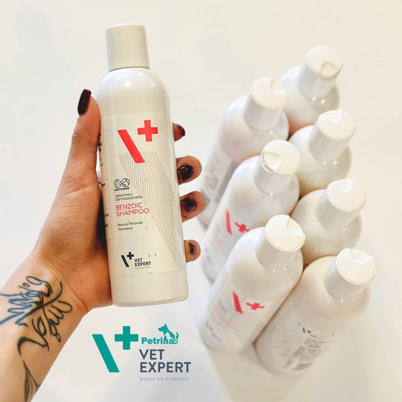 شامپو درمانی بنزوئیک سگ و گربه برند وت اکسپرت – درمانی جرب | Vet Expert BENZOIC SHAMPOO