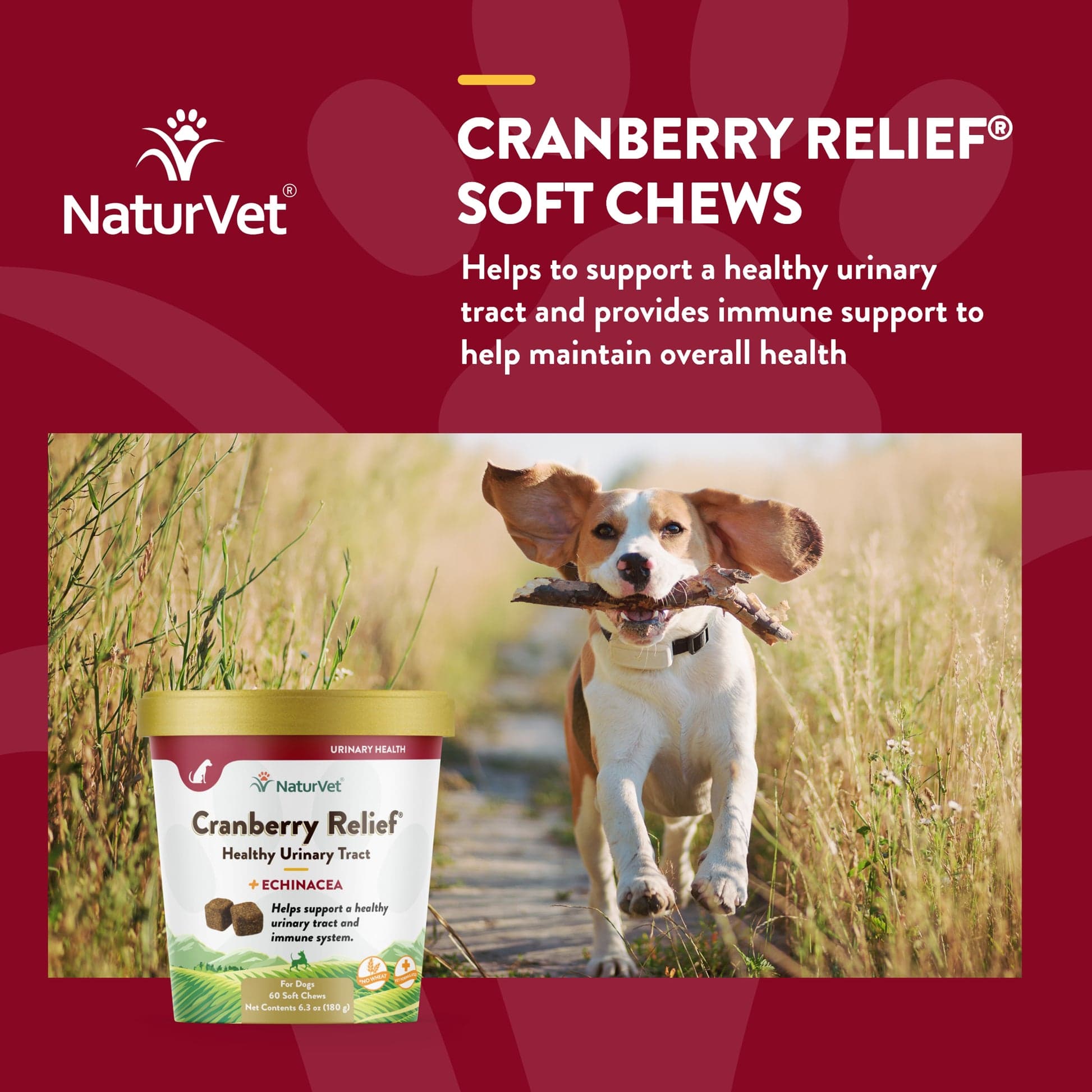 مکمل سگ NaturVet® Cranberry Relief سلامت مثانه و مجاری ادراری | 100% طبیعی | 60 عدد — تصویر ۵