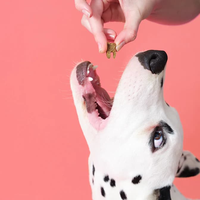 تشویقی سگ پروبیوتیکی Pooch & Mutt | اردک و رزماری | هایپو آلرژی و مراقبت از دندان — تصویر ۳