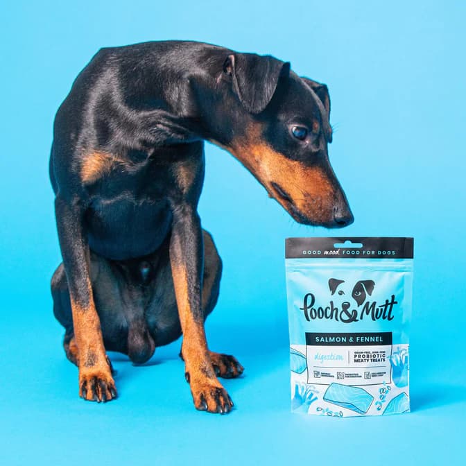 تشویقی سگ پروبیوتیکی گوارش حساس با ماهی سالمون Pooch & Mutt | هایپو آلرژی و طبیعی — تصویر ۳