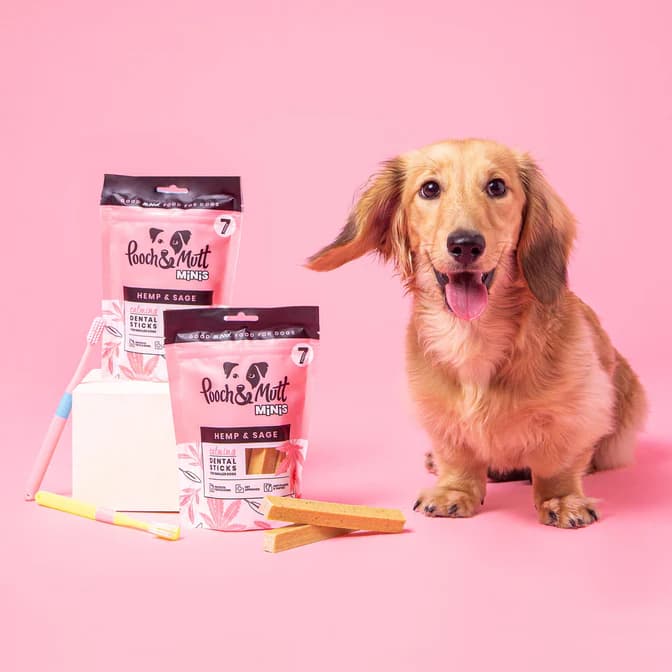 تشویقی دنتال سگ مینی Pooch & Mutt | آرامش‌بخش و ضد استرس طبیعی (7 عدد) — تصویر ۴